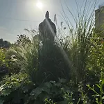 Fair N Square 24 Stunden Self-check In Darmstadt